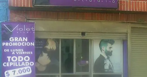VIOLET STUDIO VIOLET STUDIO
